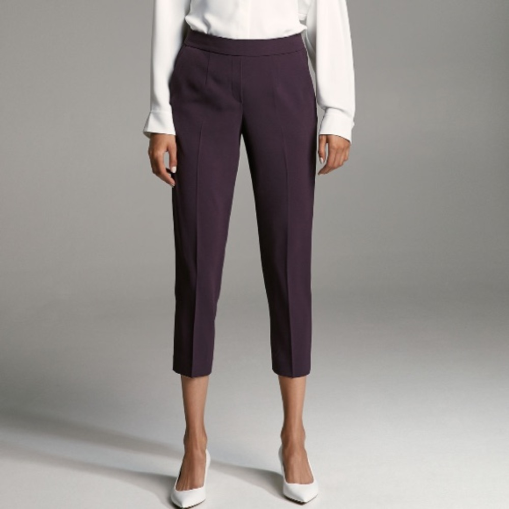 Aritzia Babaton Conan Pants